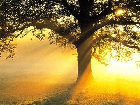 thebigbeast6969 OnlyFans - Free Access to 32 Videos & 55 Photos Onlyfans Free Access