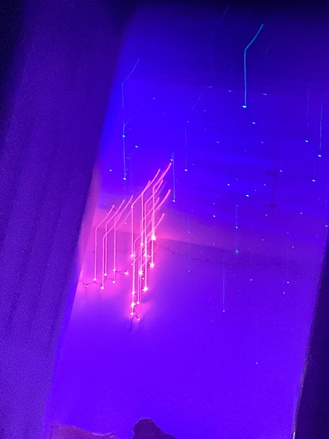 thedandelionbabe OnlyFans - Free Access to 32 Videos & 116 Photos Onlyfans Free Access