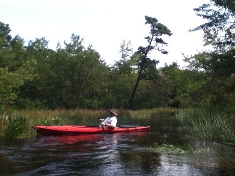 theetoecutter OnlyFans - Free Access to 47 Videos & 227 Photos Onlyfans Free Access