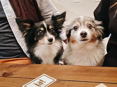 thehiighpriestess OnlyFans - Free Access to 32 Videos & 162 Photos Onlyfans Free Access