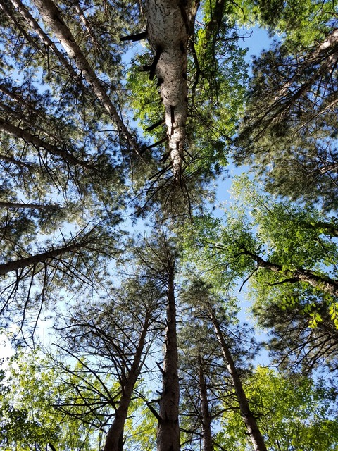 theindyexhib OnlyFans - Free Access to 32 Videos & 49 Photos Onlyfans Free Access