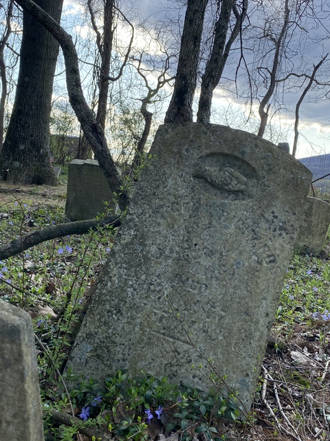 thestinc OnlyFans - Free Access to 32 Videos & 49 Photos Onlyfans Free Access