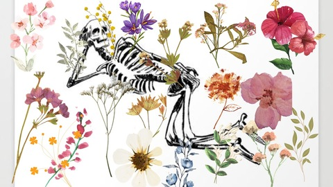 thethicccan OnlyFans - Free Access to 35 Videos & 76 Photos Onlyfans Free Access