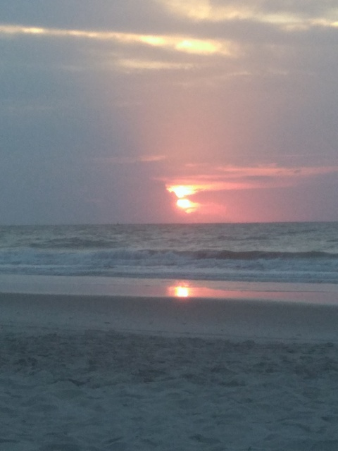 thewoodsman.3 OnlyFans - Free Access to 32 Videos & 49 Photos Onlyfans Free Access