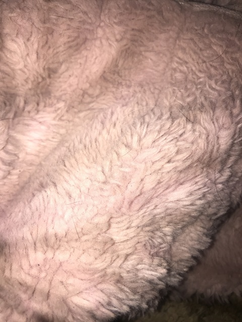 thiccwhitegurl OnlyFans - Free Access to 32 Videos & 49 Photos Onlyfans Free Access