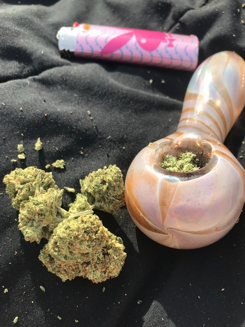 thicstonerbitch OnlyFans - Free Access to 50 Videos & 111 Photos Onlyfans Free Access