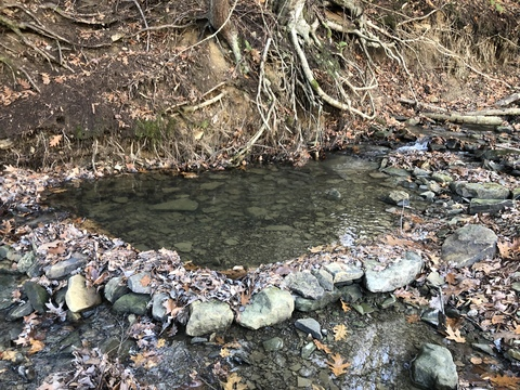 thotxxx OnlyFans - Free Access to 32 Videos & 49 Photos Onlyfans Free Access