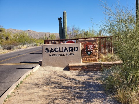 tigerotter OnlyFans - Free Access to 32 Videos & 49 Photos Onlyfans Free Access