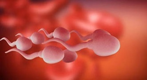 tohumcubay OnlyFans - Free Access to 88 Videos & 49 Photos Onlyfans Free Access