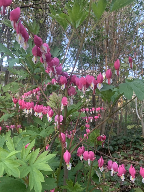 tokibeb8 OnlyFans - Free Access to 32 Videos & 85 Photos Onlyfans Free Access