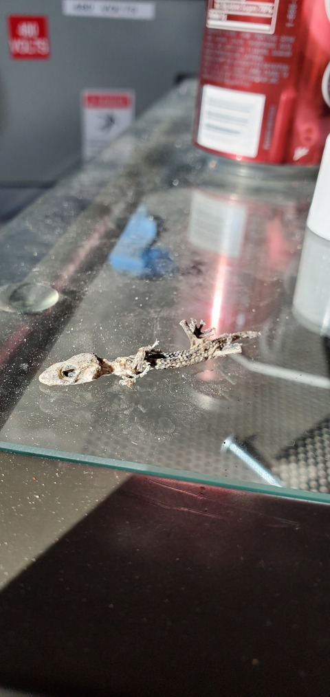 toxicshaft OnlyFans - Free Access to 32 Videos & 49 Photos Onlyfans Free Access