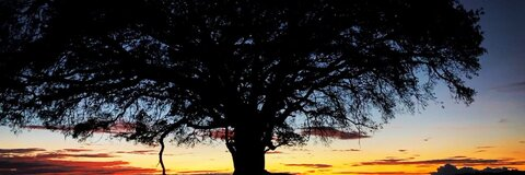 travelbee104 OnlyFans - Free Access to 32 Videos & 49 Photos Onlyfans Free Access