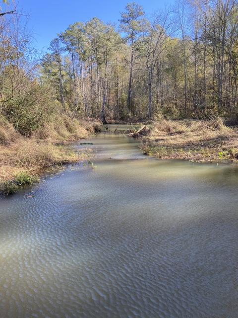 trendymatty OnlyFans - Free Access to 32 Videos & 49 Photos Onlyfans Free Access