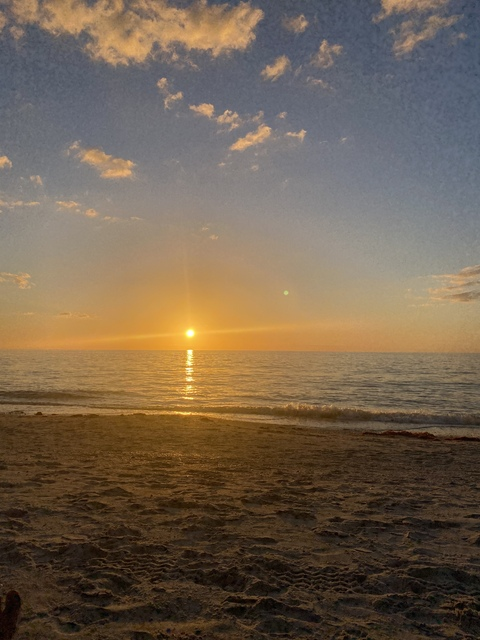 tripwithangie OnlyFans - Free Access to 32 Videos & 54 Photos Onlyfans Free Access