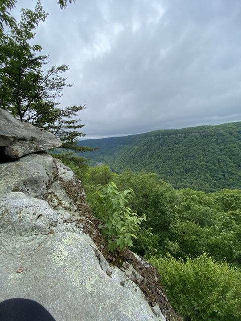 tumsbaby OnlyFans - Free Access to 32 Videos & 49 Photos Onlyfans Free Access