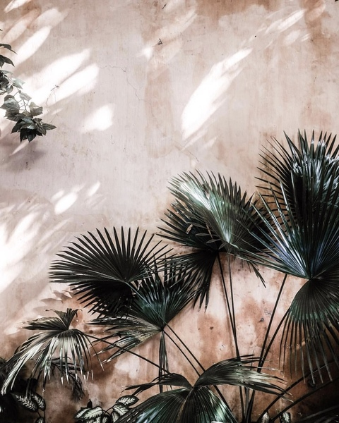 tx_milf98 OnlyFans - Free Access to 35 Videos & 63 Photos Onlyfans Free Access