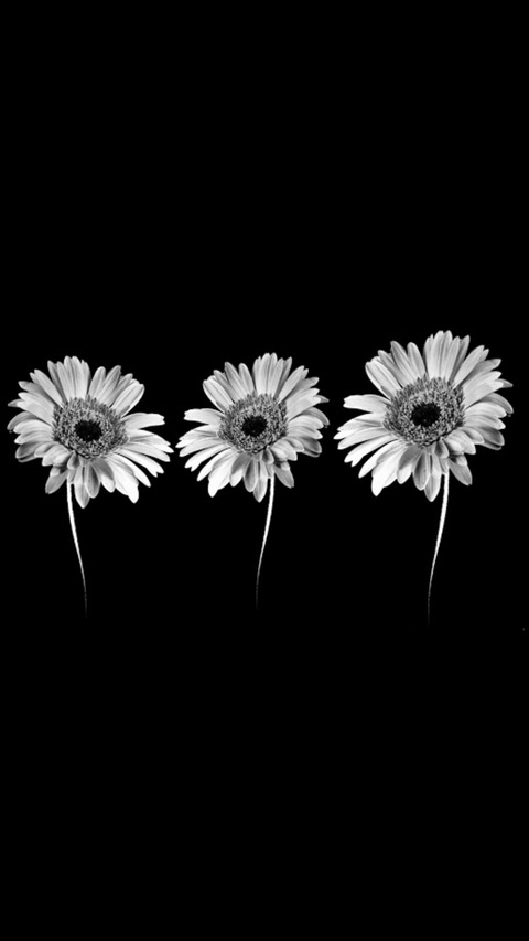 u123239795 OnlyFans - Free Access to 32 Videos & 49 Photos Onlyfans Free Access