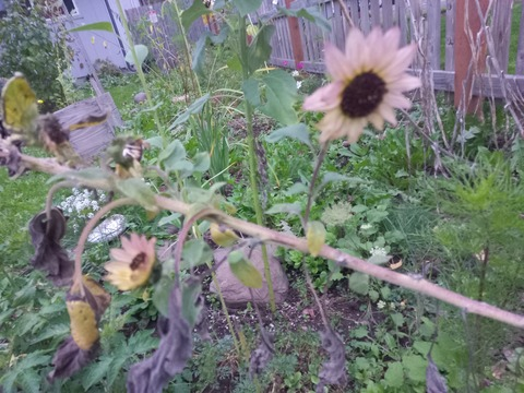 u171497136 OnlyFans - Free Access to 159 Videos & 49 Photos Onlyfans Free Access