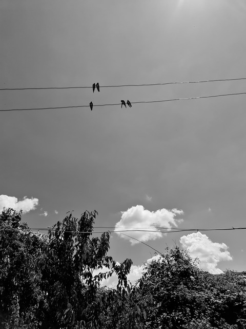 u175376499 OnlyFans - Free Access to 32 Videos & 49 Photos Onlyfans Free Access