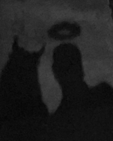 u188481095 OnlyFans - Free Access to 32 Videos & 49 Photos Onlyfans Free Access