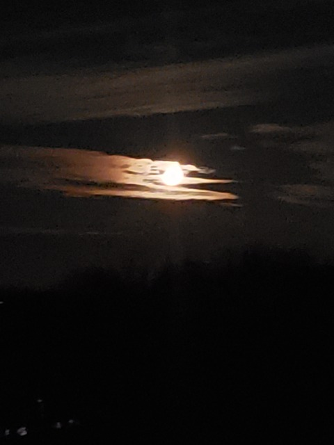 u190179776 OnlyFans - Free Access to 33 Videos & 71 Photos Onlyfans Free Access