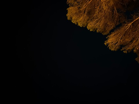 u194536694 OnlyFans - Free Access to 32 Videos & 49 Photos Onlyfans Free Access