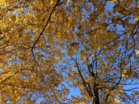 u1948908 OnlyFans - Free Access to 32 Videos & 49 Photos Onlyfans Free Access