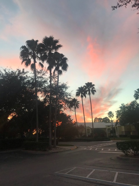 u228851214 OnlyFans - Free Access to 32 Videos & 49 Photos Onlyfans Free Access