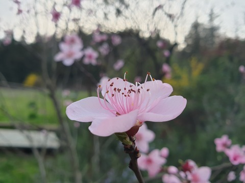 u233718804 OnlyFans - Free Access to 32 Videos & 59 Photos Onlyfans Free Access