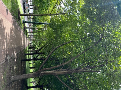 u249321866 OnlyFans - Free Access to 32 Videos & 49 Photos Onlyfans Free Access