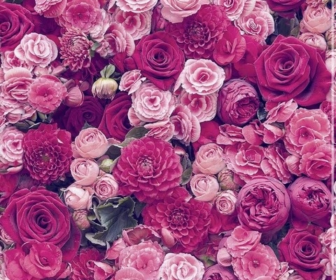 u253429587 OnlyFans - Free Access to 32 Videos & 49 Photos Onlyfans Free Access