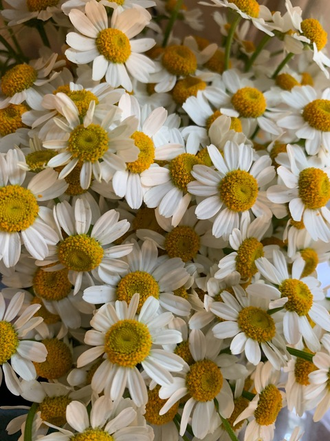 u254382818 OnlyFans - Free Access to 32 Videos & 49 Photos Onlyfans Free Access