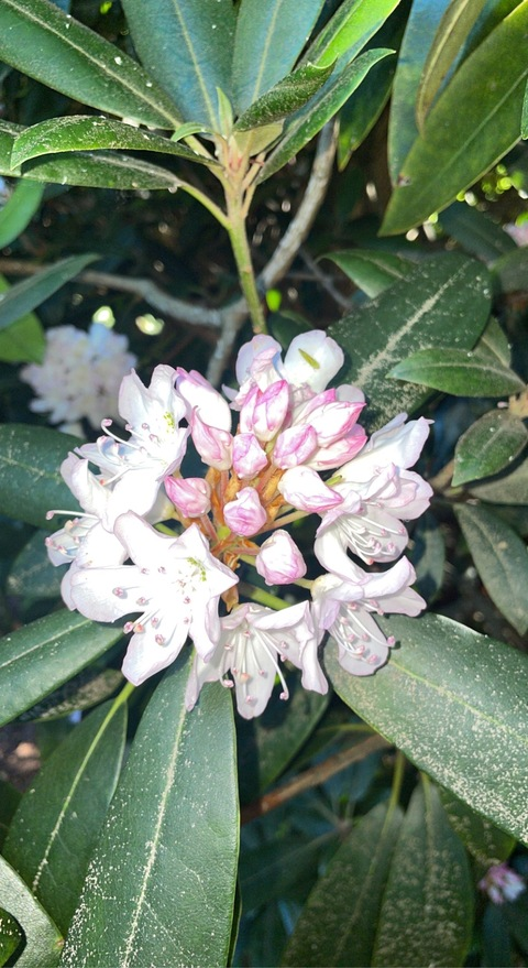 u257469903 OnlyFans - Free Access to 32 Videos & 49 Photos Onlyfans Free Access