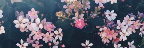 u265463746 OnlyFans - Free Access to 32 Videos & 49 Photos Onlyfans Free Access