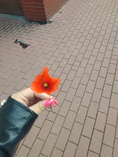 u265634338 OnlyFans - Free Access to 32 Videos & 49 Photos Onlyfans Free Access