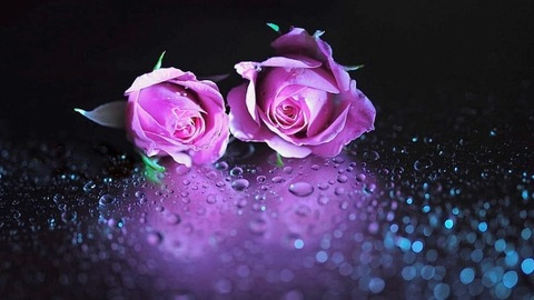 u274799466 OnlyFans - Free Access to 32 Videos & 49 Photos Onlyfans Free Access