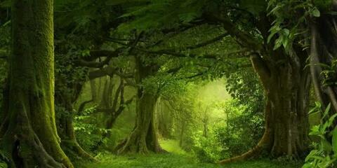 u37274361 OnlyFans - Free Access to 32 Videos & 49 Photos Onlyfans Free Access