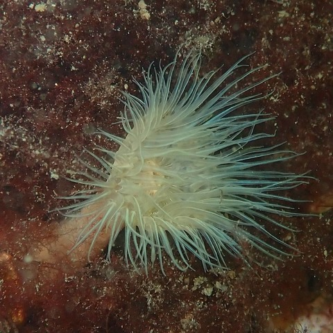 u39786315 OnlyFans - Free Access to 32 Videos & 49 Photos Onlyfans Free Access