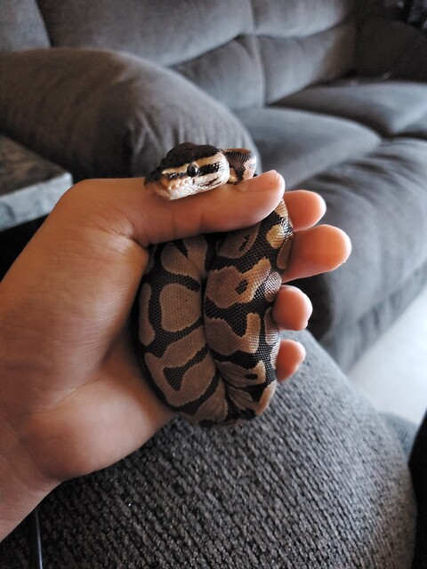 u46676819 OnlyFans - Free Access to 32 Videos & 49 Photos Onlyfans Free Access