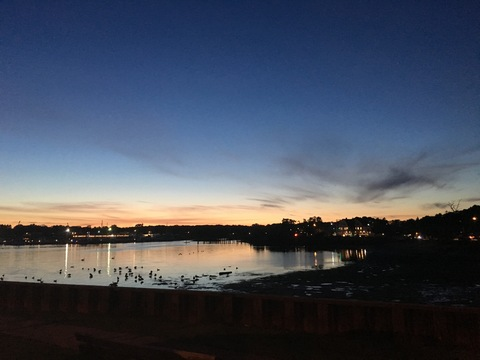 u66496181 OnlyFans - Free Access to 32 Videos & 49 Photos Onlyfans Free Access