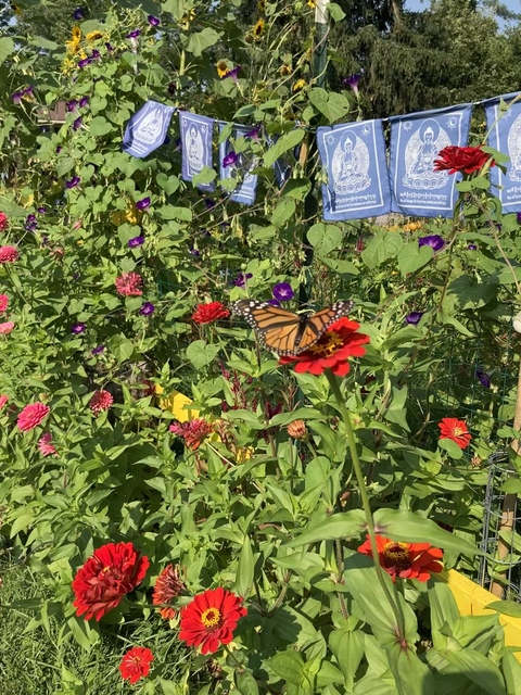 u68005966 OnlyFans - Free Access to 32 Videos & 49 Photos Onlyfans Free Access