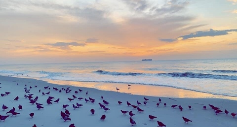 u8102160 OnlyFans - Free Access to 32 Videos & 49 Photos Onlyfans Free Access