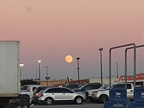 u81113921 OnlyFans - Free Access to 32 Videos & 49 Photos Onlyfans Free Access