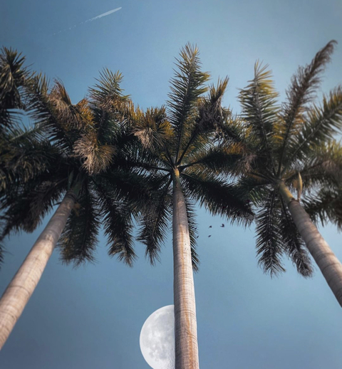 u82370535 OnlyFans - Free Access to 32 Videos & 122 Photos Onlyfans Free Access