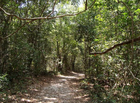 u97399411 OnlyFans - Free Access to 32 Videos & 49 Photos Onlyfans Free Access