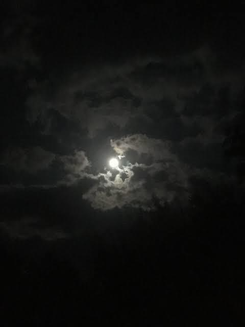 ugurx OnlyFans - Free Access to 32 Videos & 49 Photos Onlyfans Free Access