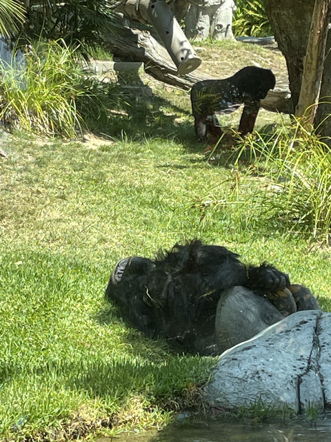 uraveragepenis OnlyFans - Free Access to 32 Videos & 49 Photos Onlyfans Free Access