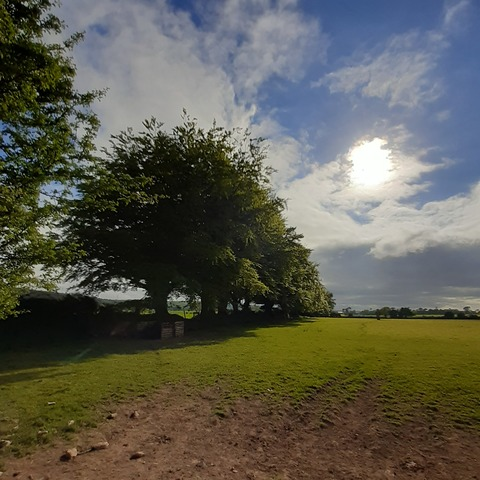 vaguelynude OnlyFans - Free Access to 32 Videos & 49 Photos Onlyfans Free Access