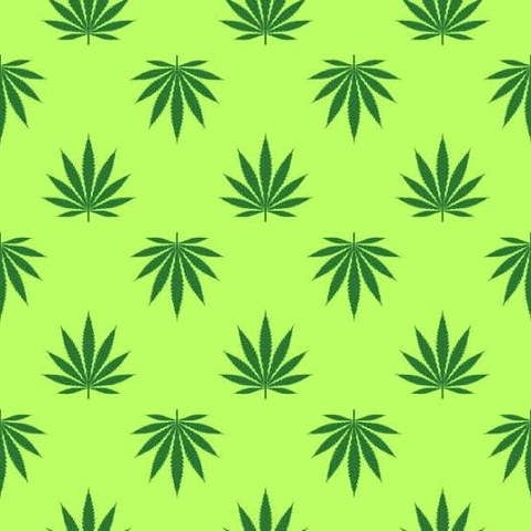 vannah_gant OnlyFans - Free Access to 32 Videos & 49 Photos Onlyfans Free Access