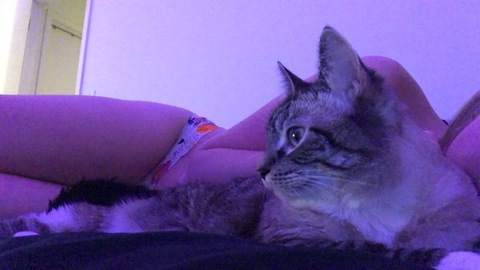 veevenom OnlyFans - Free Access to 32 Videos & 49 Photos Onlyfans Free Access